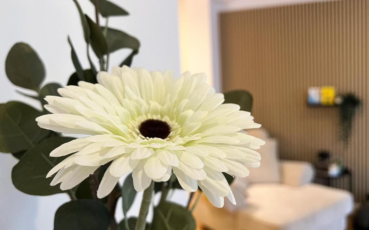 Modernes Studio Appartement Mit Leseecke Gernsbach Bagian luar foto